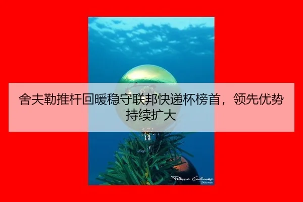 she-fu-lei-tui-gan-hui-nuan-wen-shou-lian-bang-kuai-di-bei-bang-shou-ling-xian-you-shi-chi-xu-kuo-da-3-703.jpg