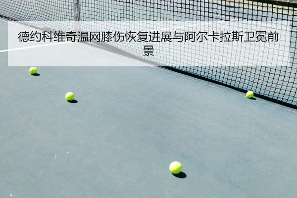 de-yue-ke-wei-qi-wen-wang-xi-shang-hui-fu-jin-zhan-yu-a-er-ka-la-si-wei-mian-qian-jing-2-294.jpg