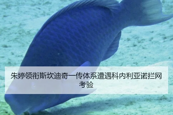 朱婷领衔斯坎迪奇一传体系遭遇科内利亚诺拦网考验
