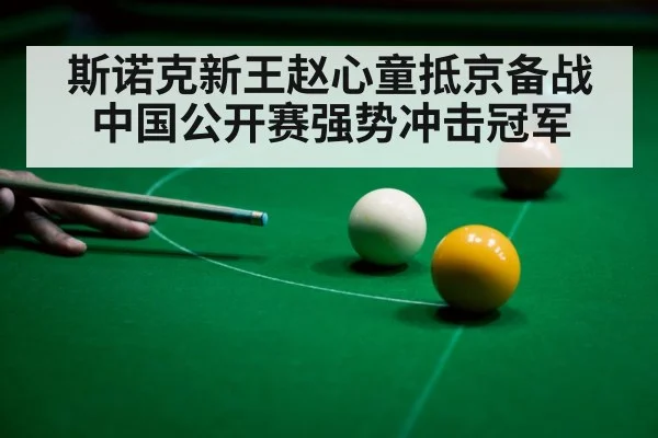 snooker ball focus